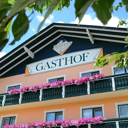 Hotel Blumauer Rainbach im Mühlkreis